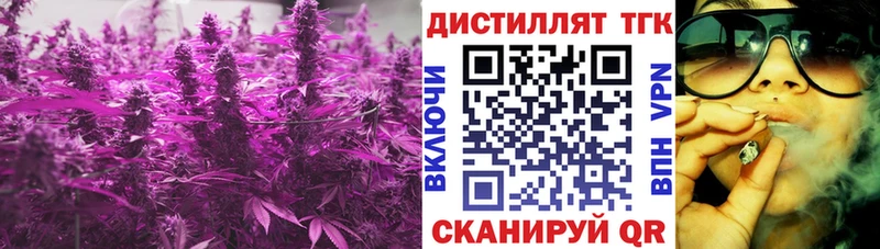 как найти закладки  Великий Устюг  ТГК гашишное масло 